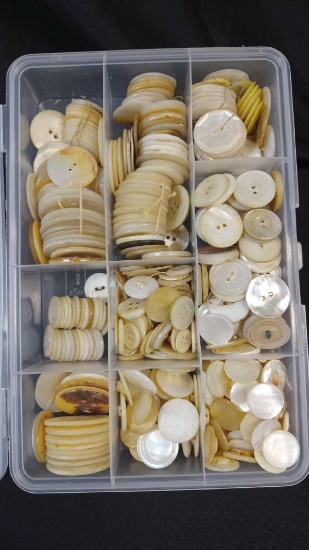 collection of mother-of-pearl buttons, neatly organized in a clear, divided container