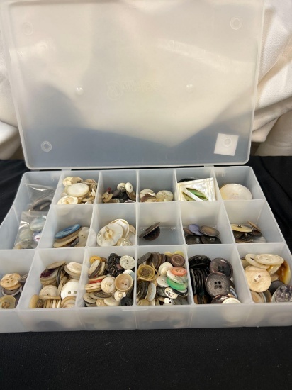Collection of Mother-of-Pearl and Earth-tone Vintage Buttons in organizer