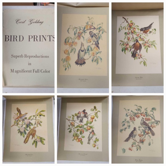 (5) LARGE 1960s Cecil Golding Bird Prints