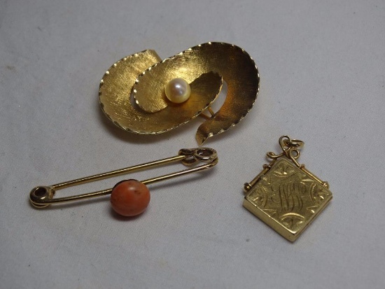 Gold Pins and Pendant