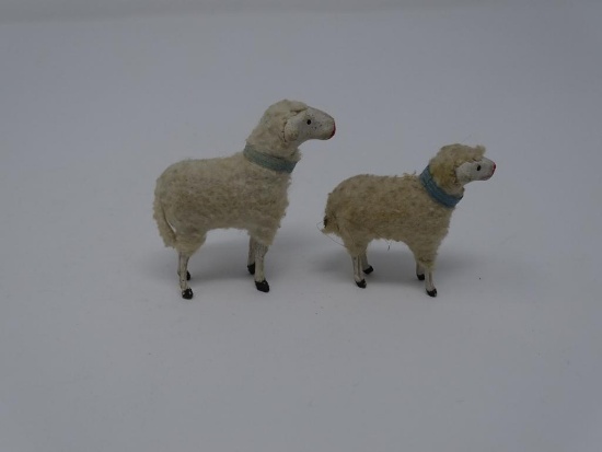 Two Sheep Covered in Wool