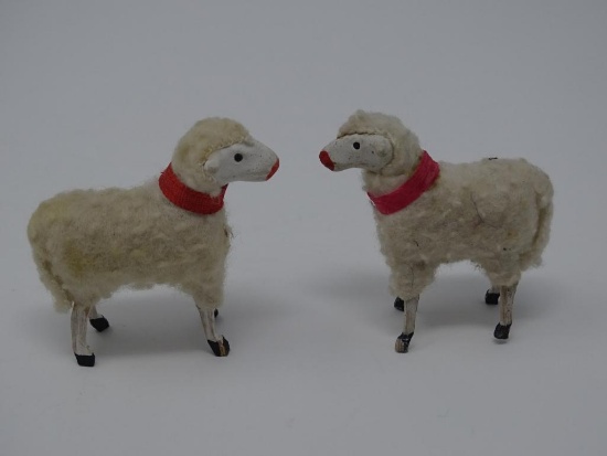 Sheep Covered in Wool