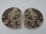 Polished matching set of ammonite fossils