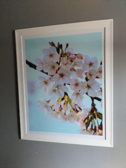 Framed Photograph of Cherry Blossoms