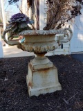 Iron Urn Planter on Pedestal