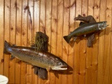 Brook Trout and Brown Trout Mounts