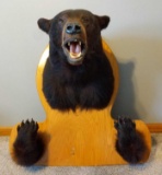 Bear Head and Paws Mounted on Plaque