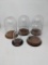 5 Glass Display Domes with Wooden Bases