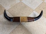 Mounted Steer Horns