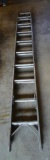 Aluminum 20 Ft. Extension Ladder