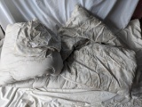 Queen Size Comforter and 2 Pillow Shams