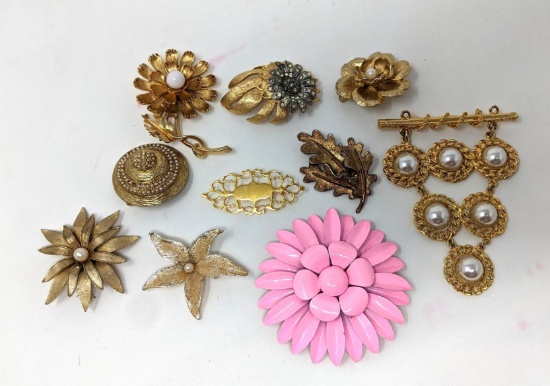 10 Brooches and Pair of Matching Earrings