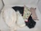 Embroidered Breast Plate, Assorted Lace Pieces, etc.