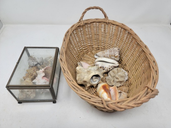 Sea Shells, Rocks & Minerals in Basket and Glass Lidded Box