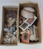 Collection of Rocks, Fossils, Seashells