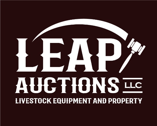 2020 Spring Business Liquidation Auction