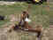 Hay spear
