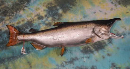 41" Real Skin King Salmon Taxidermy Fish Mount
