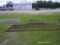 12ft Pasture Gate and 4ft  Pasture Gate