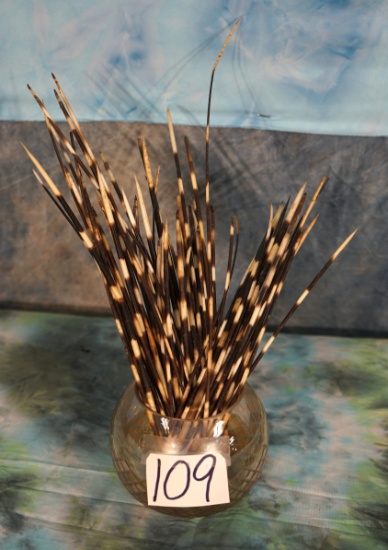 Cool  Decorative Jar of African Porcupine Quills Taxidermy