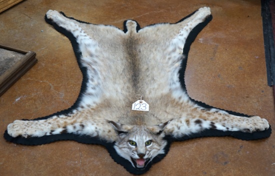 Very Nice Bobcat Felted Rug Taxidermy Mount