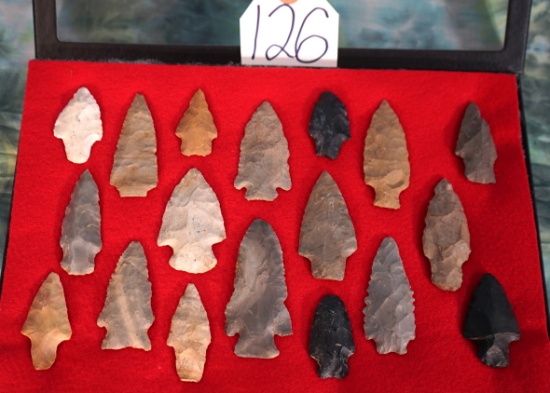 (18) Authentic Archaic Spear Points and Arrowheads in New Large Display Case