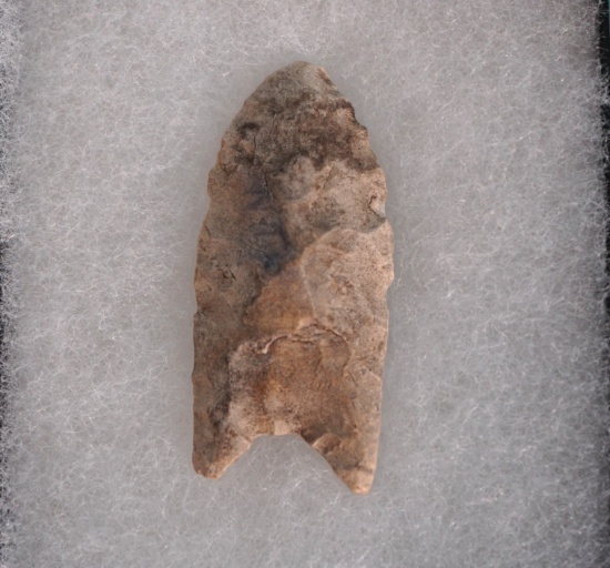 Authentic Paleo Clovis Point Artifact Arrowhead with Display Case