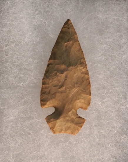 Unusual Side Notch Archaic Texas Dovetail Authentic Arrowhead Artifact