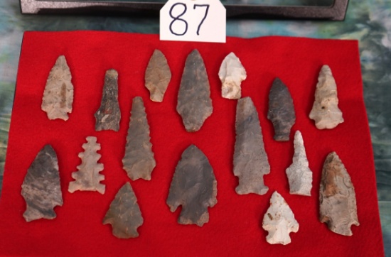 (16) Authentic Spear Points and Arrowheads in New Display Case