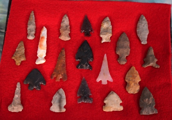 (19) Authentic Great Basin and Columbia River Gem Points and Arrowheads in New Display Case