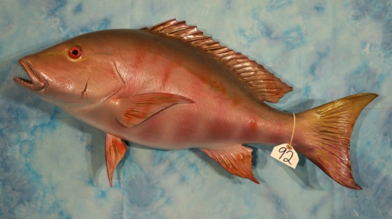 Brand New 31 1/2" Mutton Snapper Fiberglass Reproduction Taxidermy Fish Mount