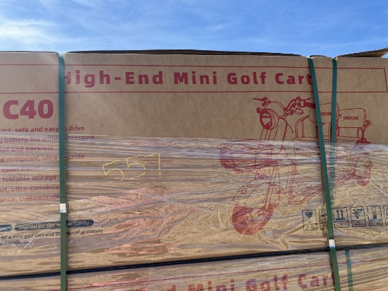 MGC40 High end mini golf cart Franklin TX