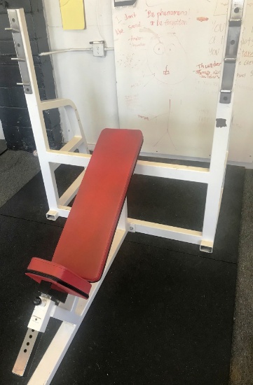 Incline Bench/ Exercise Bench