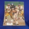Gale Sayers Signed Print