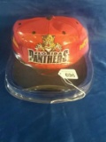 Florida Panthers Cap