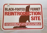 Black-Footed Ferret Reintroduction Site Sign