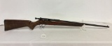 Springfield 12A 22 Short/Long Rifle