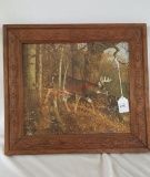 Whitetail Deer Print