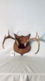 Mounted Antler Knife Holder