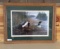 Common Loons Framed Print