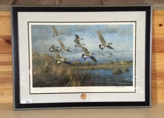 Sunset Refuge-Canada Geese Framed Print