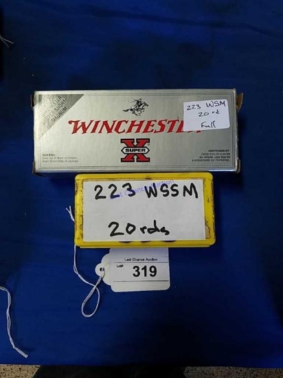 2-20ct Boxes of  .223 WSM