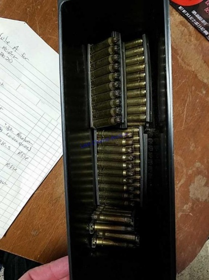200+ .223 Blanks