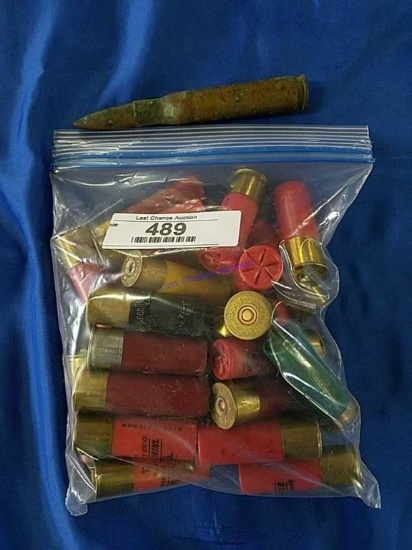1 Bag of Misc Shells