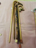 5-Walking Stick Canes