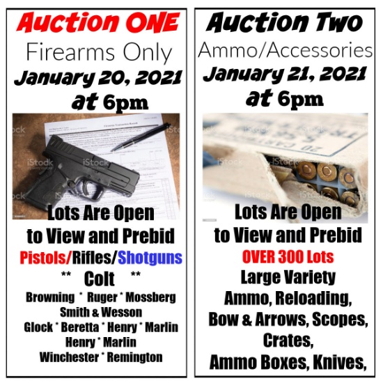 Information:  TWO AUCTIONS - TWO DAYS