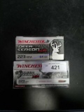 2X-20ct Winchester .223 64gr XP