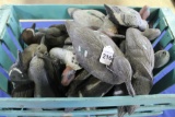 Crate Full of Small Plastic Duck Decoys