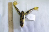 Hand Carved Musky Frog Lure
