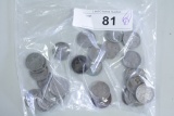 28ct Circulated Buffalo/indian Head Nickels